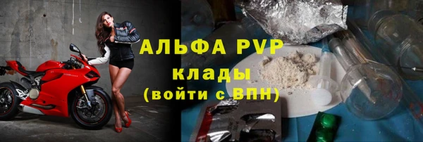 хмурый Инсар