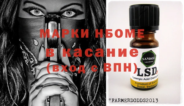 хмурый Инсар