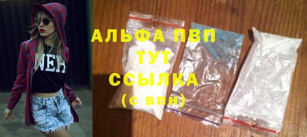 хмурый Инсар
